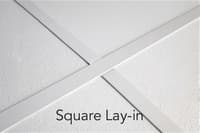 Layer 4.jpg