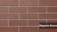 Magnum Brown.jpg