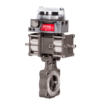 StoneL Valve Position Monitors, AN Series