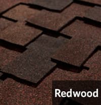 Redwood1.jpg