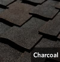 Charcoal1.jpg