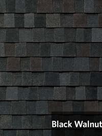 BlackWalnut.jpg