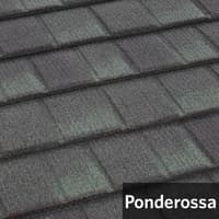 Ponderossa.jpg
