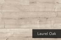 LaurelOak.jpg