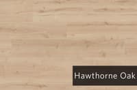 HawthroneOak.jpg