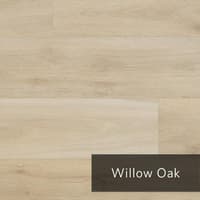 WillowOak.jpg