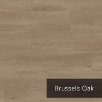BrusselsOak.jpg