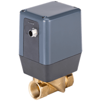 3275 2/2-Way Motor Valve