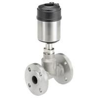 Type 2301 Pneumatically Operated 2-Way Globe Control Valve Element