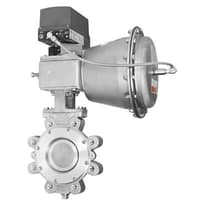 High Performance Butterfly Valves (BHP) 