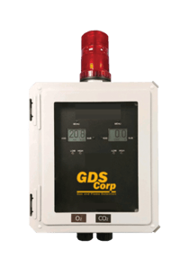 GASMAX DSM Dual-Channel Wired Gas Monitor
