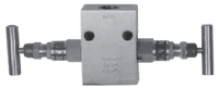 Model 387FM 2-Valve Manifold