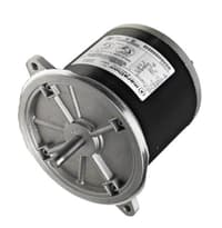 O600-IMAGE.jpg