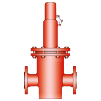 Protego Pressure and Vacuum Relief Valve, In-Line, DV/ZW-F