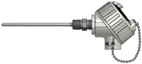 Fixed-Sheath RTD Assemblies with Explosion-Proof Connection Head