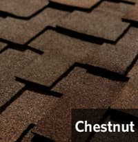 Chestnut1.jpg