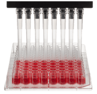 ClipTip Pipette Tips