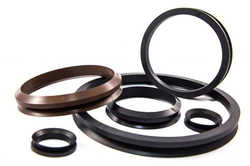 Lip Seals