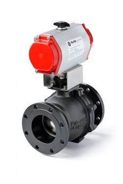 Pneumatic Check Valves & Actuators
