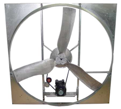 Ceiling Fans