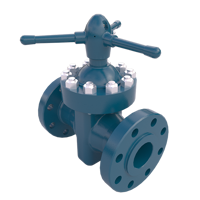 BTC & BTCO₂ Gate Valve