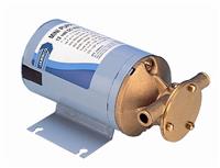 8860 Series Bronze DC Pump
