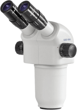 Stereo Microscopes