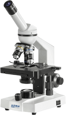Microscopes & Equipment