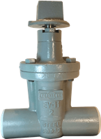 EV-11 Soft Seated Gate Valves