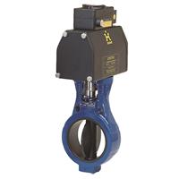 Figure 637 Slurry Control Valve