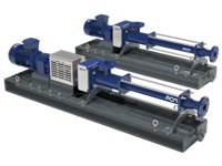 Moineau Progressing Cavity Pump