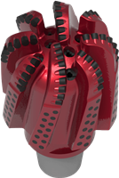 Extended Gauge, 8 Blade PDC Bit