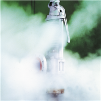 Sapag Series 9100 Safety Relief Valves