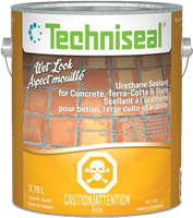 Urethane Sealant for Concrete, Terra-Cotta & Slate