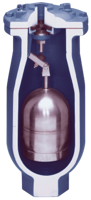 Dual Body Combination Air Valve