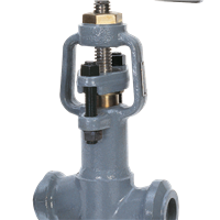 7000 Series TPattern Globe Valve