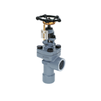 Yarway Series 5505 Blowdown Globe Valves
