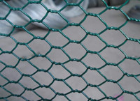 Hexagonal Wire Mesh