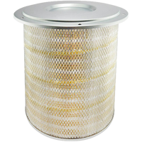 Axial Seal Air Filter Element with Lid
