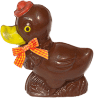 Duck 350g