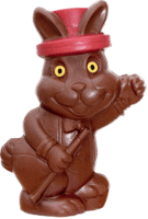 Magician Rabbit 400g