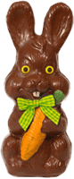Rabbit with Carrot 400g