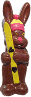 Skiing Rabbit 2000g
