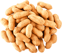 Peanuts