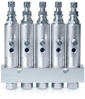 GL-1 Series Grease Injectors