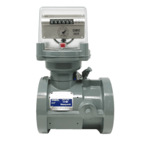 GTS Turbine Meter