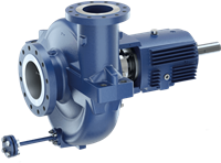 RPH Dry-Installed Pump 