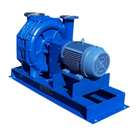 Centrifugal Blowers and Exhausters Centurion Series