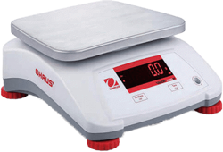 Commercial Scales