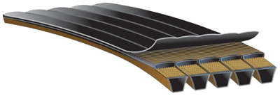 predatorpowerbandv-belt-1-ang-r.png
